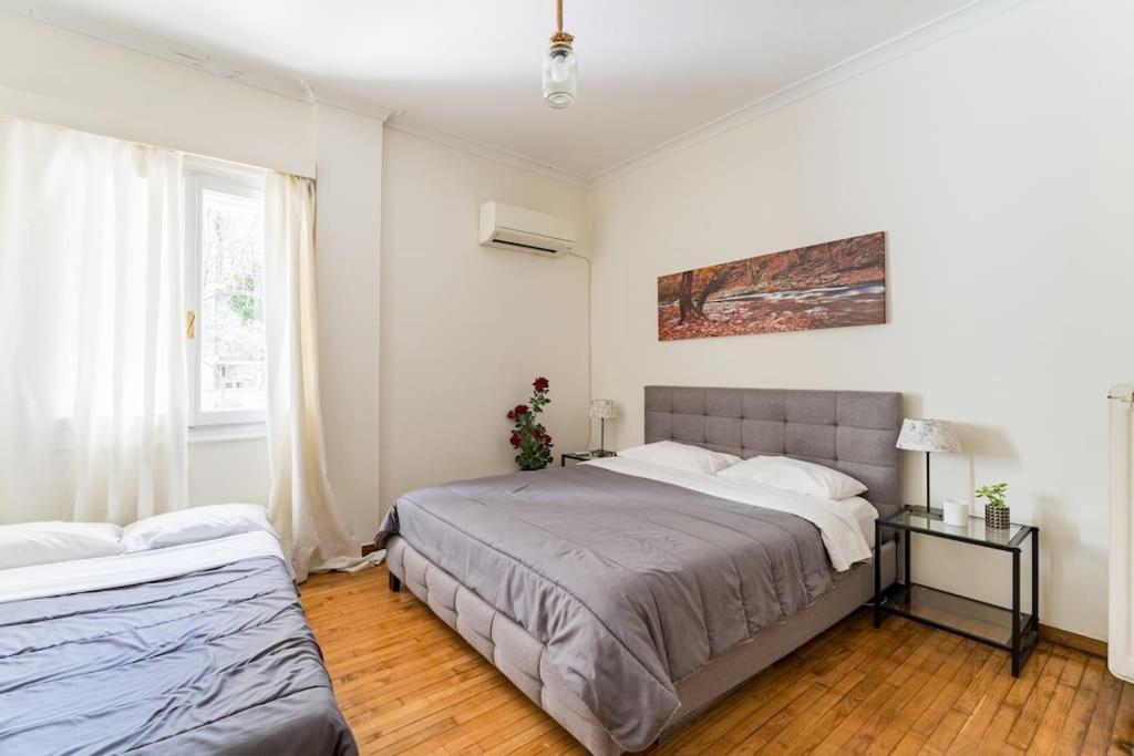 Amazing 3Bdr Apt With Unique Roof Garden In Plaka Athens Ngoại thất bức ảnh